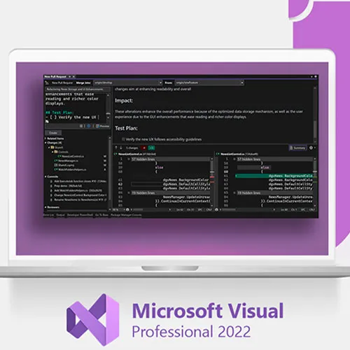 Microsoft Visual Studio 2022 Professional (Lifetime License